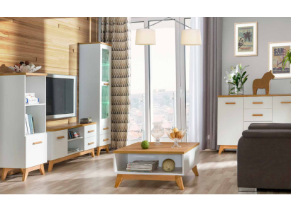 Wall unit Living room -Set Display case Lowboard Wall shelf TV Table 5 pcs