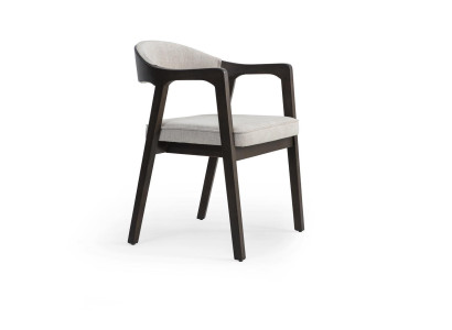 Armchair Modern Dining room Chair with Armrests Design new Furniture