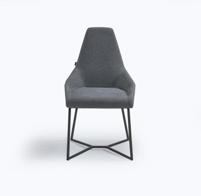 Designer Chair Furniture Modern Upholstered Chair Gray Dining room chair new Furniture