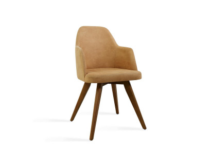 Designer Furniture Chair with Armrests Modern Luxury Dining room Furnishings