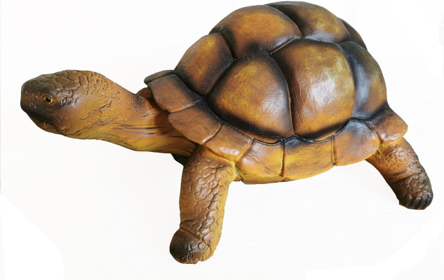 Turtle Zoo Garden Animal Figure Hand Painted Sculpture Decoration Statue Decoration