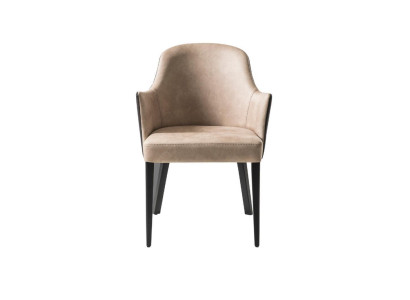 Modern Chairs with Armrest Upholstered Chair Luxury Armchair Chair Dining room Living room
