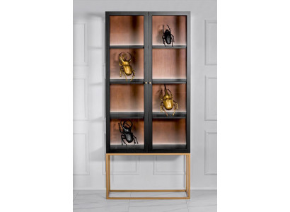 Display case Cabinets Showcases Wardrobe Wood Glass Furniture Design Living room Glass cabinet