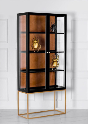 Display case Cabinets Showcases Wardrobe Wood Glass Furniture Design Living room Glass cabinet