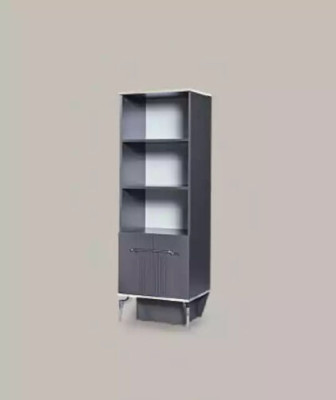 Shelf Wardrobe Bookshelf Cabinets Multipurpose Furniture Brown 170x55x48