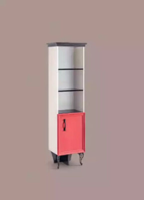 Shelf Wardrobe Bookshelf Cabinets Multipurpose Furniture Brown 164x40x34