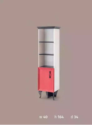 Shelf Wardrobe Bookshelf Cabinets Multipurpose Furniture Brown 164x40x34