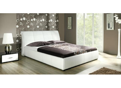 Waterbed Beds Upholstery Marriage Double Hotel Water Designer Complete Leather Bed