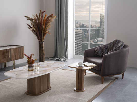 Luxury Coffee table Living room Furniture Side table Luxury Design Furnishings