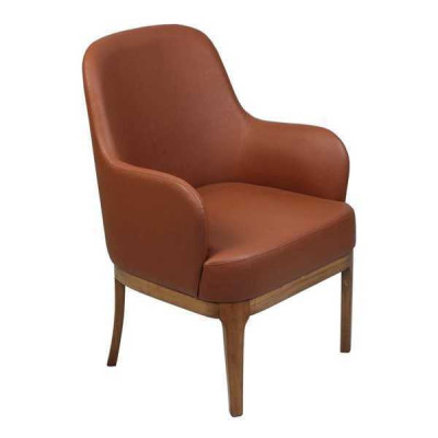 Brown Living room Armchair Designer Single Seater Luxury Armchair Chairs