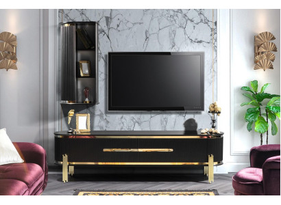 Modern lowboard luxury TV cabinet TV lowboard Living room furniture Black Gold