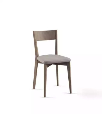 Chair Dining chairs kitchen chair stylish new chair gray