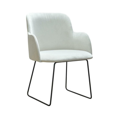 1x Dining room chair Living room chair Kitchen chairs Upholstered chair with armrest