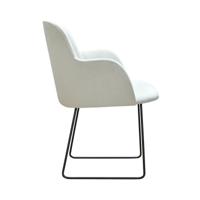 1x Dining room chair Living room chair Kitchen chairs Upholstered chair with armrest