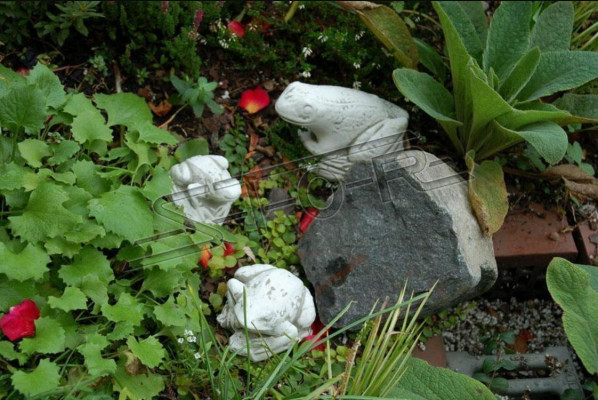 Garden Decoration Frog Patio Stone Figures Figure Decorative Statue