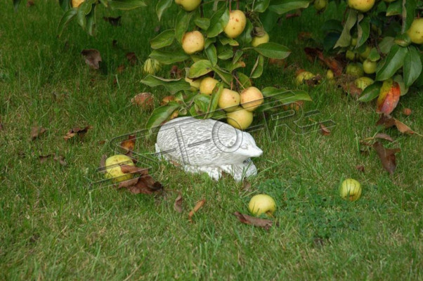 Garden Decoration Hedgehog Patio Stone Figures Figure Decorative Statue