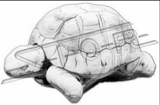Garden Decoration Turtle Patio Stone Figures Figure Decorative Statue