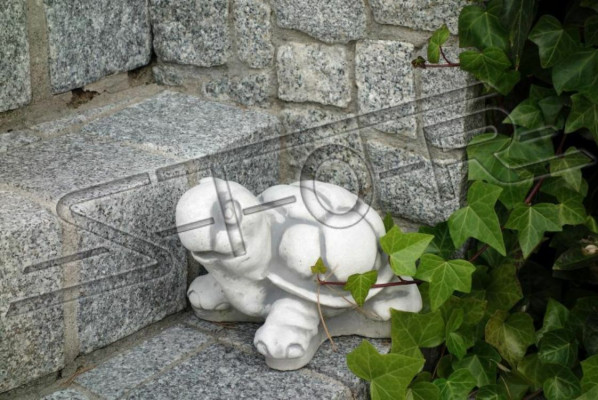 Garden Turtle Decoration Figure Patio S103095 Statue
