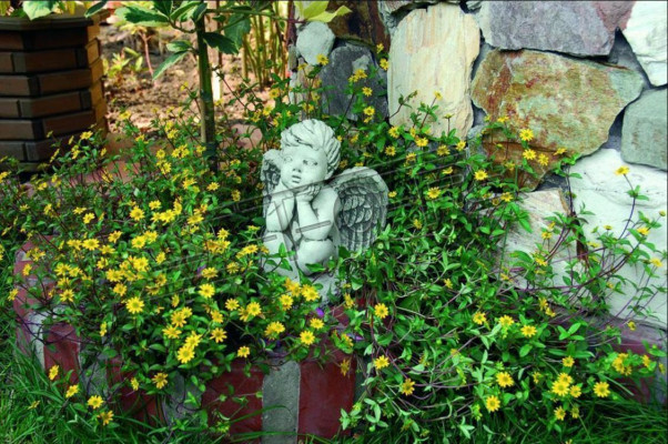 Gravestone Gravestone Decoration Angel Figure Sculpture God Holy