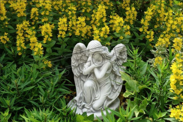 Gravestone Gravestone Decoration Angel Figure Sculpture God Holy 36cm Immediately