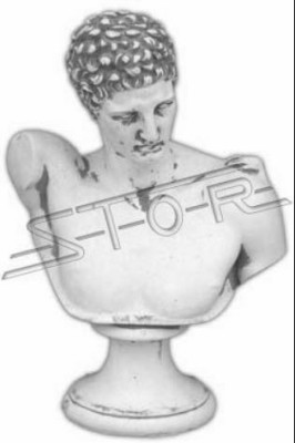 Roman Bust Figure Figures Statue Statues Sculpture Sculptures Woman