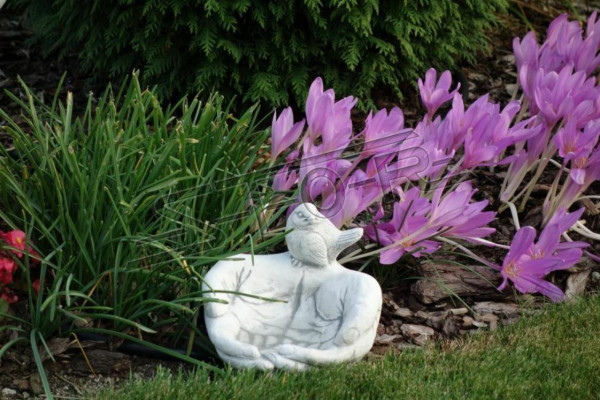 Bird Potion Sculpture Design Figure Statue Garden Decor Figures Statues