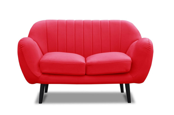 Sofa 2 Seater Design Sofas Modern Upholstery Fabric Seat Two-seater Leather new