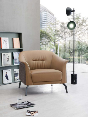 Armchair club chair lounge chair cocktail chair sofa armchair couches television