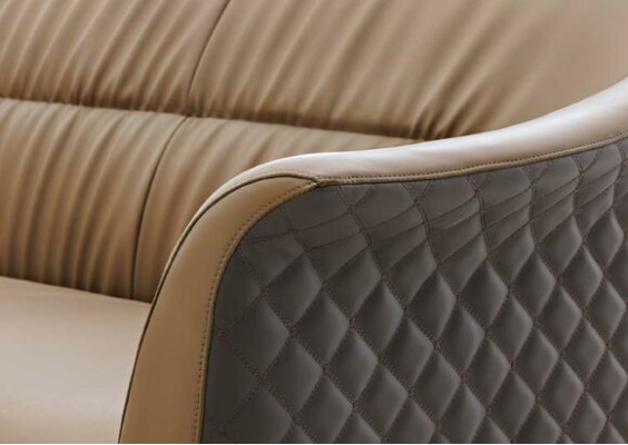 Armchair club chair lounge chair cocktail chair sofa armchair couches television