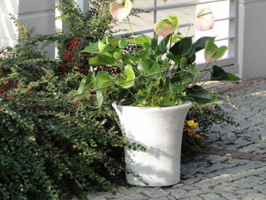 Flower Basket Figures Flower Vase Vessel Garden Patio Statue Decoration