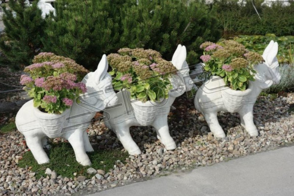 Flower pot plant pot decoration nature figure flower pots garden vases