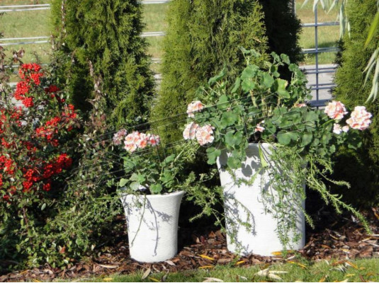 Flower pot plant pot decoration vases garden figure flower pots natural