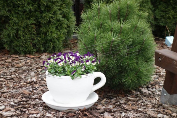 Flower pot plant pot nature decoration vases figure garden flower pots