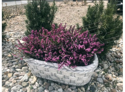 Flower pot planting natural pot decoration garden vases flower pots figure