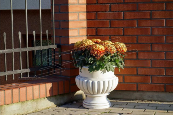 Flower pots decorative box pot flowers pots XXL concrete garden terrace