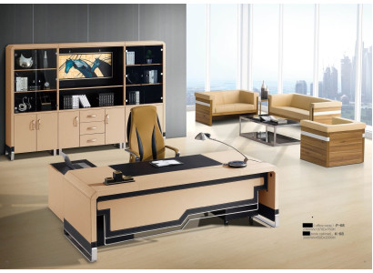 Office Bookcase Filing cabinet Luxury Furniture Modern Decorative Wardrobe Cabinets