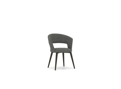 Design new Furniture Dining room Chair Luxury Wood Chairs Furnishings