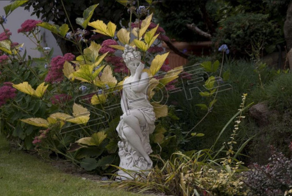 Eva Sculpture Design Figure Statue Garden Figures Statues Sculptures