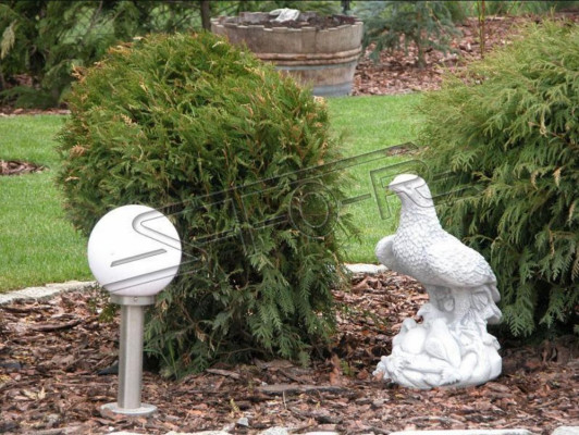 Figure Eagle Garden Statue Sculpture Sculptures Figures Statues Decoration