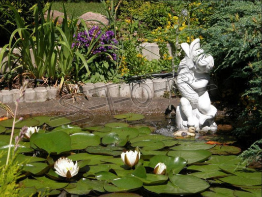 Fontainen Figure Statue Figures Statues Sculpture Sculptures Garden