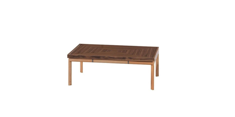 Design Furniture Side table Living room Couch Table Modern Furnishings