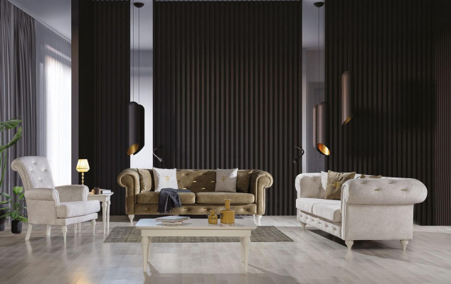 Stylish living room sofa set Dreistzer 2-Seater luxury armchair couch