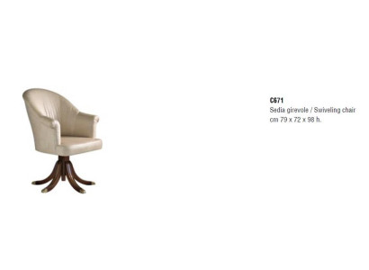 Luxury Design Furniture Chairs Classic Design Armchair Textile Living room Lounge new
