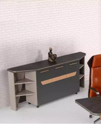 Modern Office cupboard Study room Shelves Luxury Designer new Furniture Shelf