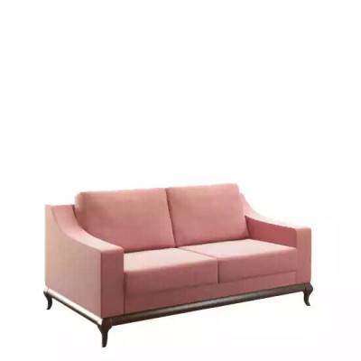 Modern Sofa 2 Seater Living room Design Furniture Style Modern new pink luxury