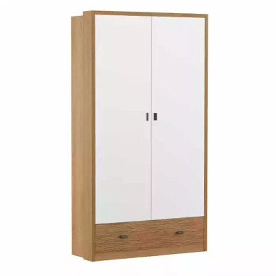 Wardrobe Bedroom Furniture Modern Indoor area luxurious style