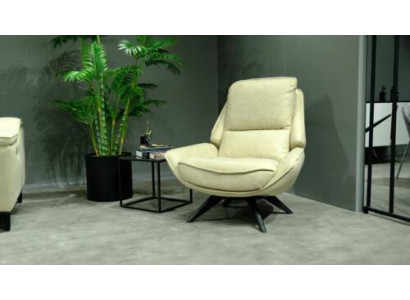 Beige leather armchair living room club chair design single seater noble furniture