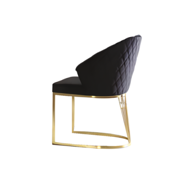 Upholstered chair Dining room chair Wooden chair Kitchen chair Black Modern Gold