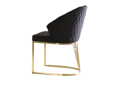 Upholstered chair Dining room chair Wooden chair Kitchen chair Black Modern Gold
