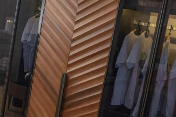 Bedroom Wardrobe Luxury Glass Cabinet Stylish Furnishings